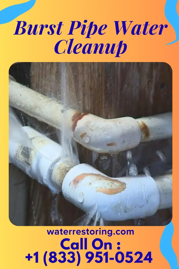 Burst Pipe Water Cleanup in Steuben, WI