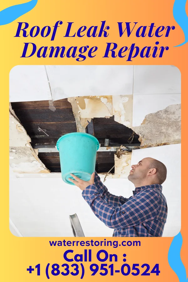 Roof Leak Water Damage Repair in Steuben, WI