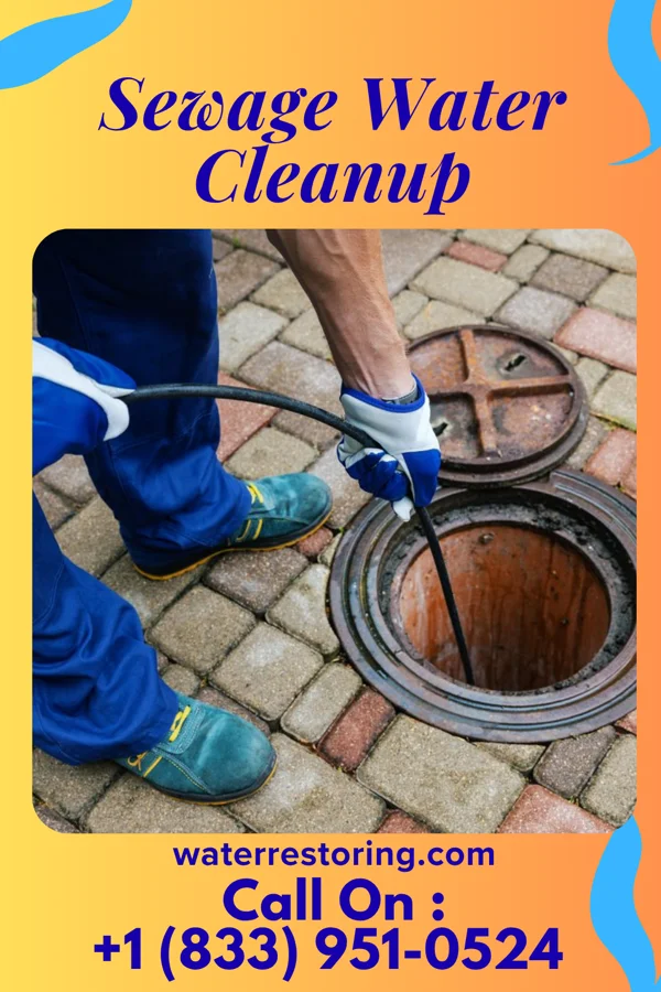 Sewage Water Cleanup in Steuben, WI
